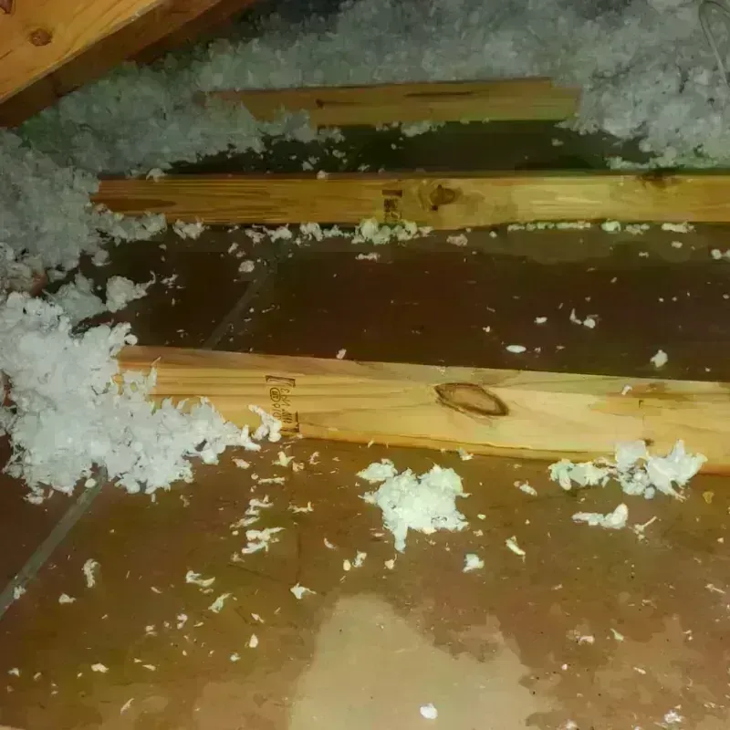 Attic Water Damage in Hanna City, IL