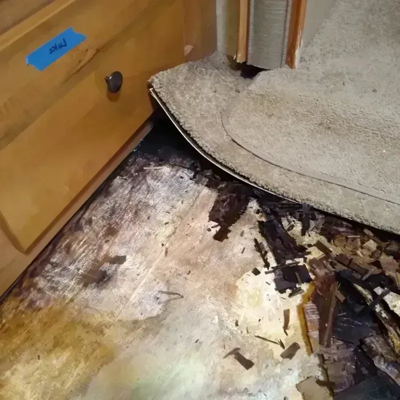 Wood Floor Water Damage in Hanna City, IL